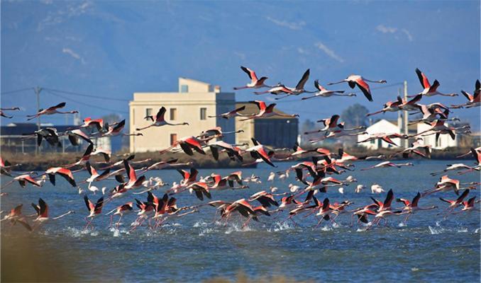 Lo Trabucador Casa Nueva En El Corazon Del Delta Villa El Poble Nou del Delta Eksteriør billede